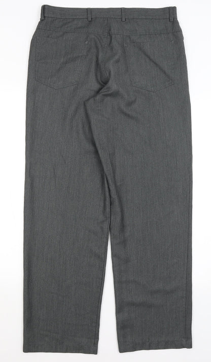 Taylor & Wright Mens Grey   Dress Pants Trousers Size 34 in L31 in