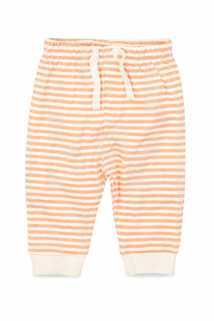 Mini Cuddles Boys Orange Striped  Capri Trousers Size 3-6 Months