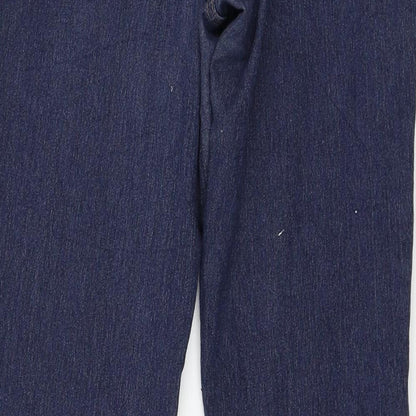 Jania Womens Blue  Denim Straight Jeans Size 8 L30 in