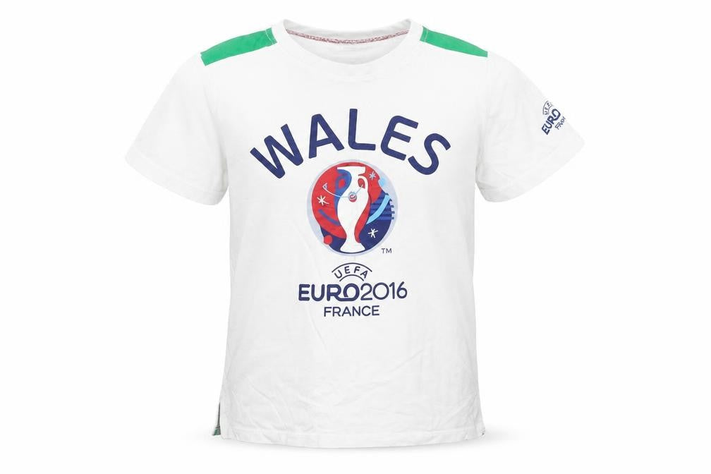 Front view of Euro 2016 boys’ white basic t-shirt, size 7-8, years - wales 2016