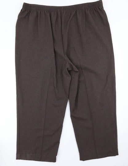 BM Collection Womens Brown   Dress Pants Trousers Size 22 L20 in