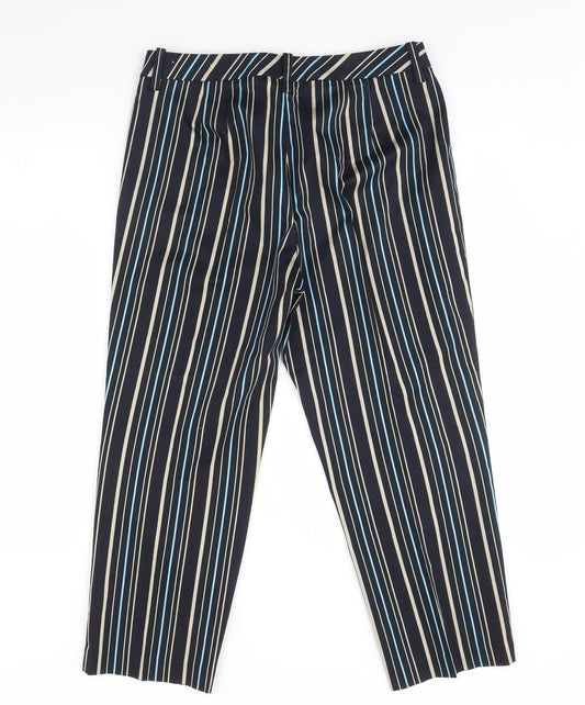 Ann Taylor Womens Blue Striped  Trousers  Size 12 L27 in