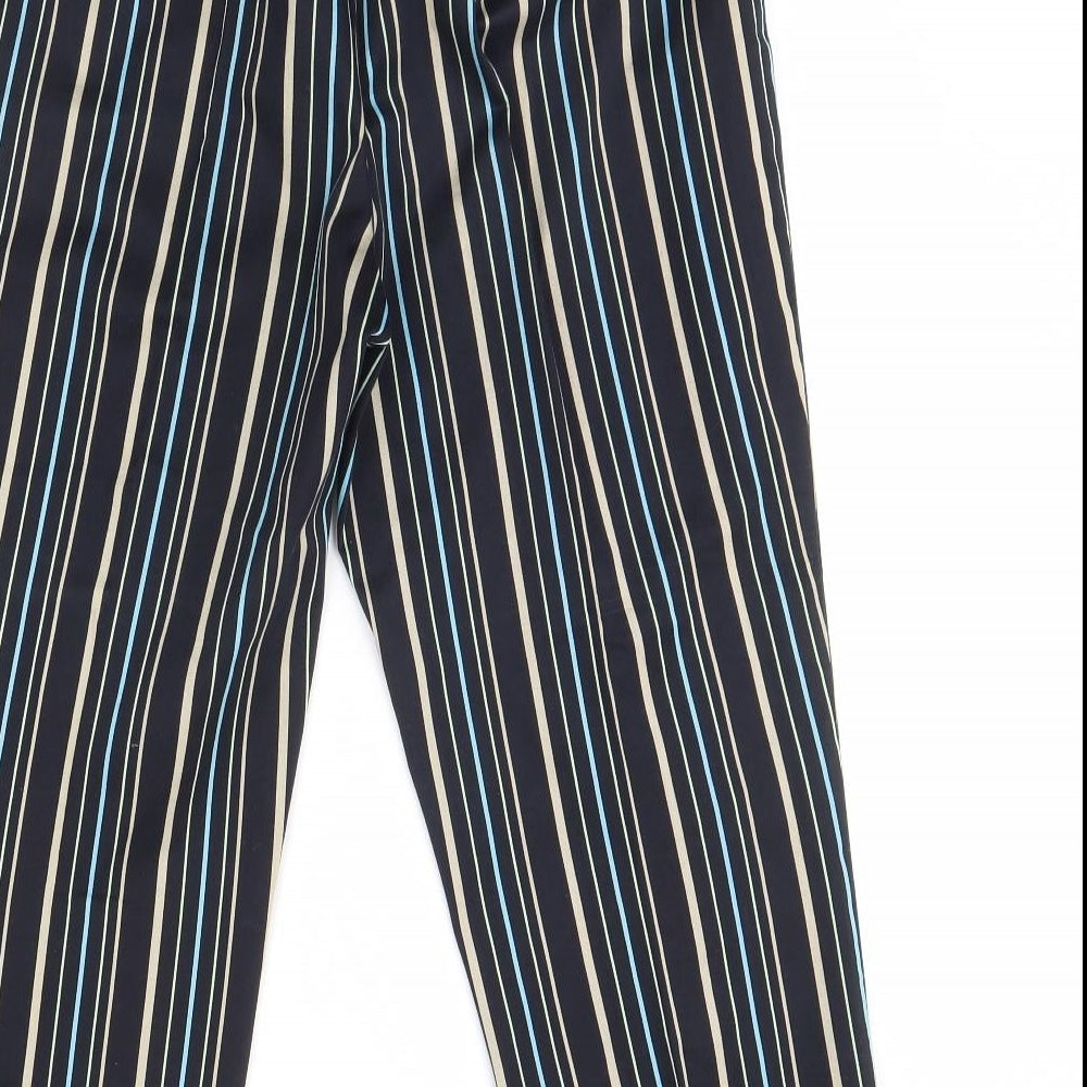 Ann Taylor Womens Blue Striped  Trousers  Size 12 L27 in