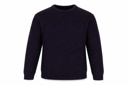 Front view of sandstones men’s purple pullover sweatshirt, size L