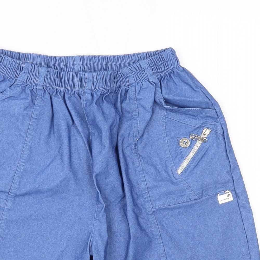Preworn Mens Blue   Bermuda Shorts Size 22 in
