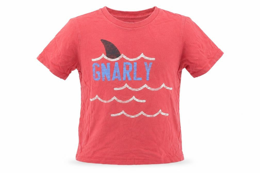 Front view of Gap boys’ red basic t-shirt, size 5, years