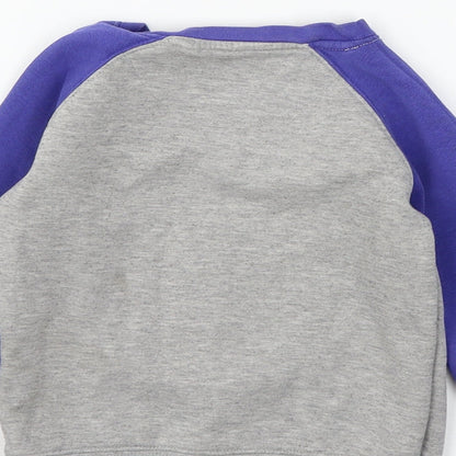 Minnie Minors Boys Grey  Jersey Pullover Sweatshirt Size 3-4 Years