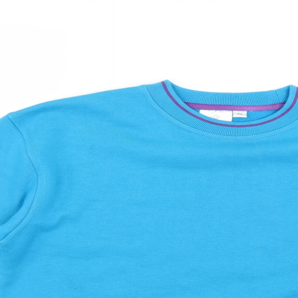 SCOUT Mens Blue   Pullover Jumper
