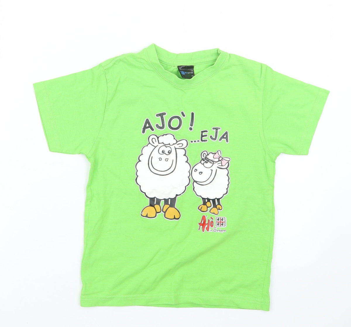 Additional front view of Blue garda boys’ green basic t-shirt, size 5-6, years