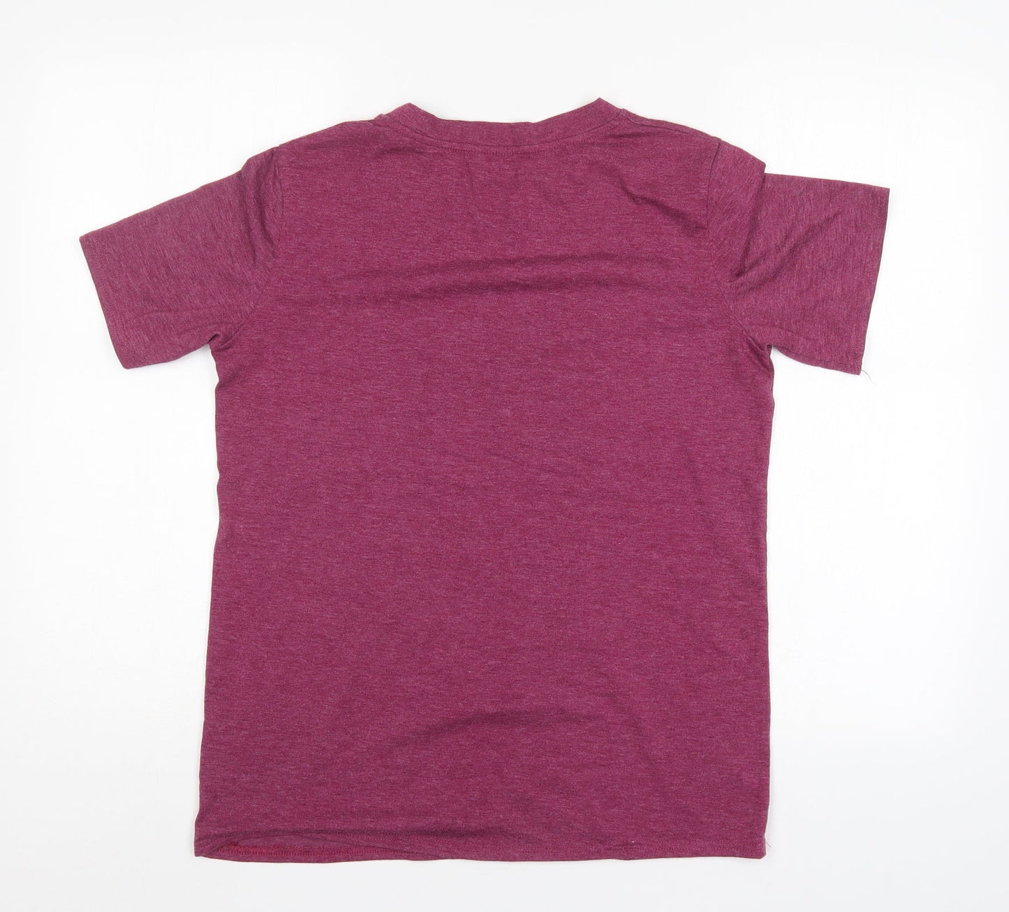 Womens UK Size S Preworn Purple Basic T-Shirt