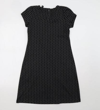 En Focus Studio Womens Grey Polka Dot  A-Line  Size 4