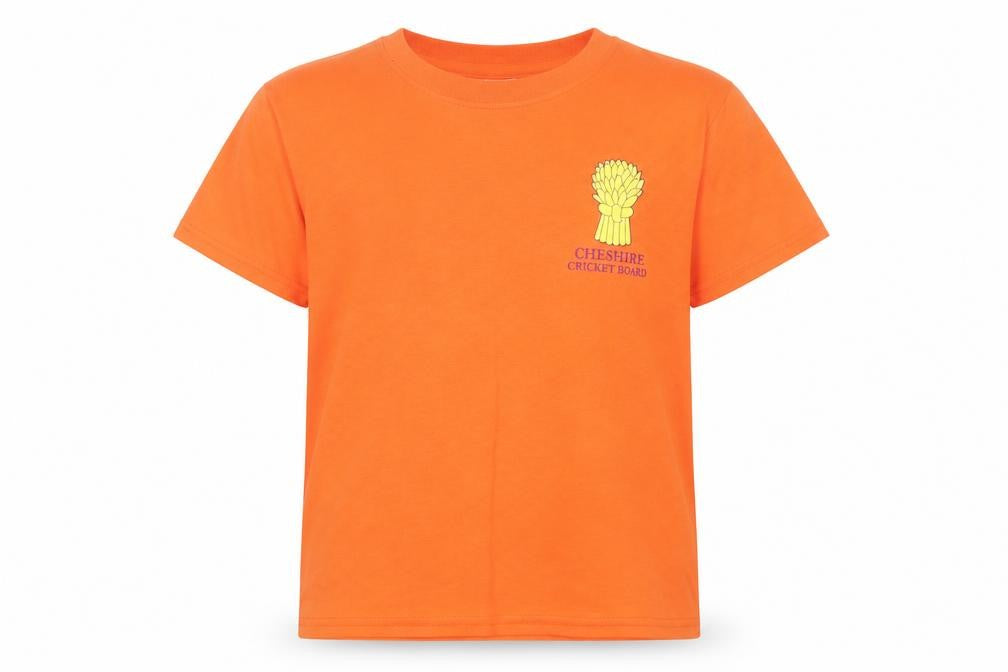 Front view of Gilden boys’ orange basic t-shirt, size XS