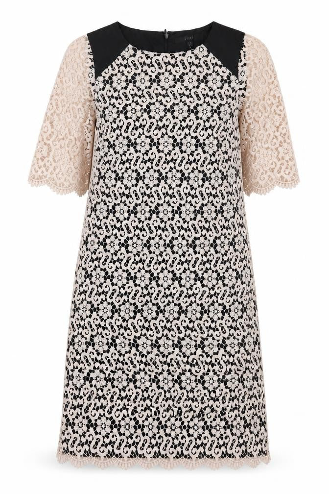 Coast Womens Black Floral  A-Line  Size 12