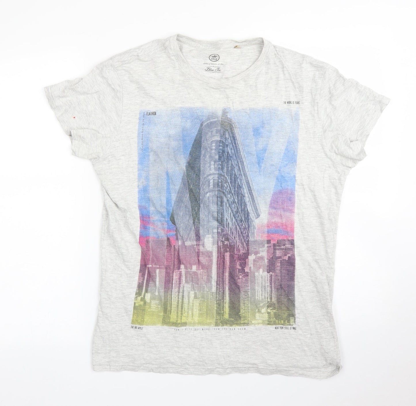 Womens UK Size M Blue Inc Grey Basic T-Shirt
