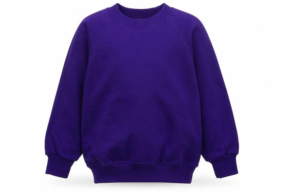 Front view of Preworn boys’ purple pullover sweatshirt, size S