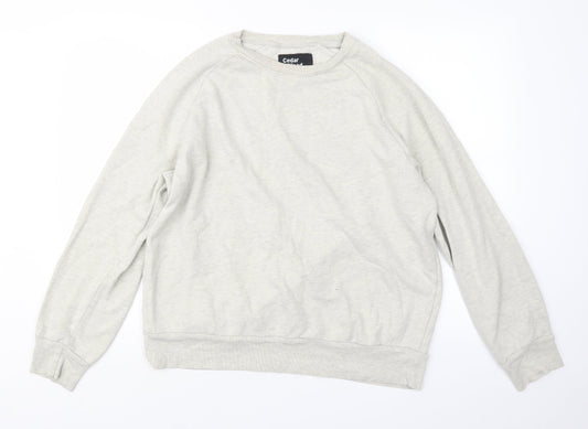 Cedar Wood State Mens Grey   Pullover Jumper Size XL