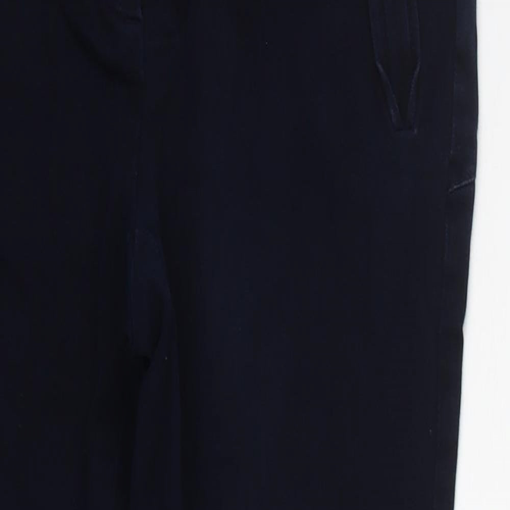 JASPER CORAN Womens Blue Houndstooth  Straight Jeans Size 10 L24 in