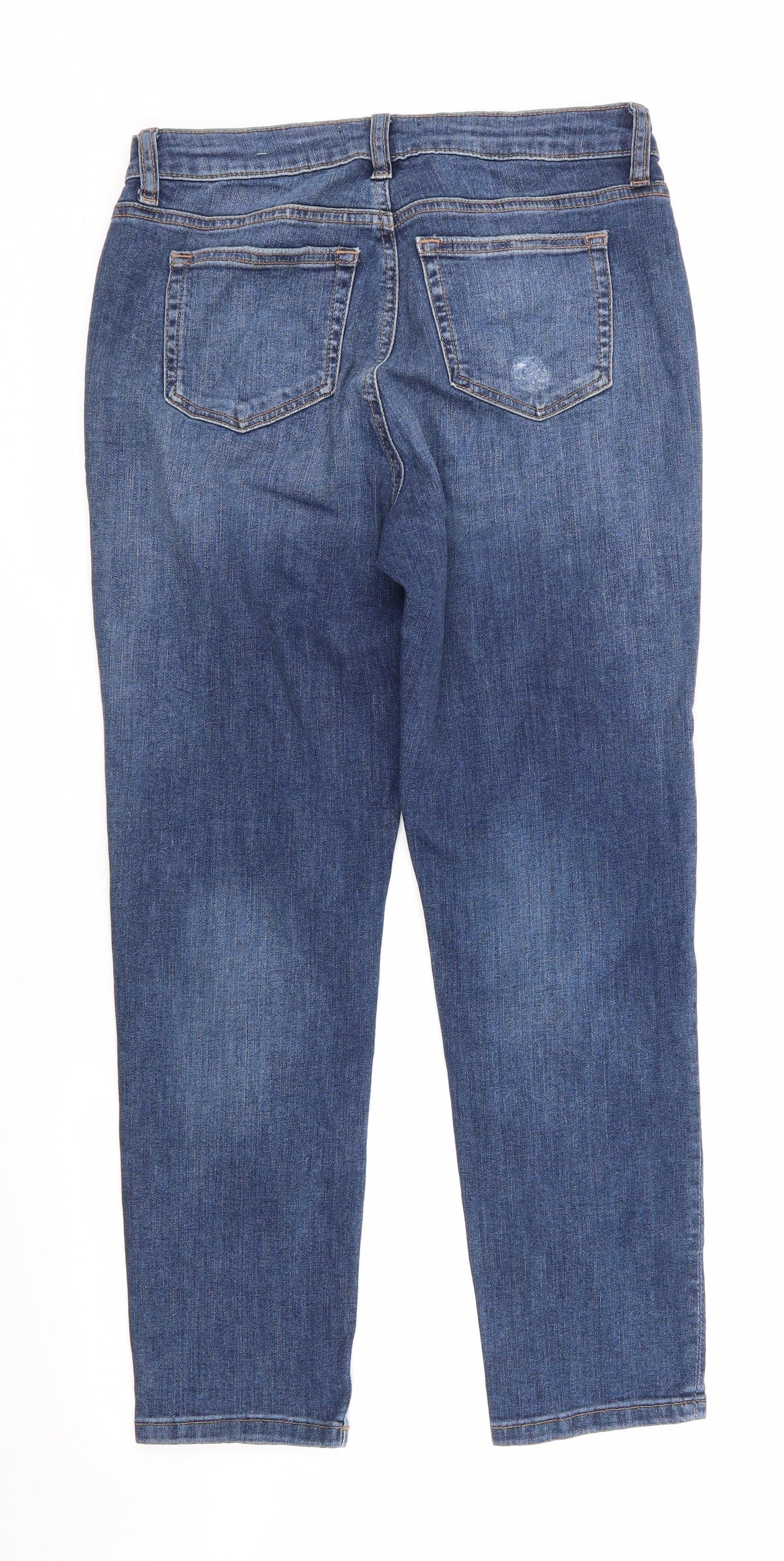 Taylor by Dorothy Perkins Womens Blue  Cotton Straight Jeans Size 8 L26 in Regular