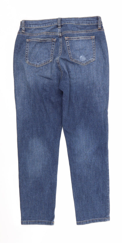Taylor by Dorothy Perkins Womens Blue  Cotton Straight Jeans Size 8 L26 in Regular
