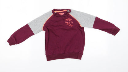 Florence and Fred Boys Purple  Cotton Pullover Sweatshirt Size 3-4 Years   - Awesome Dinasour