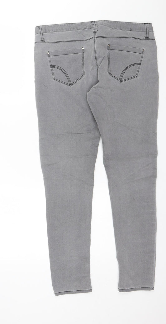Denim CO. Womens Grey  Cotton Skinny Jeans Size 14 L28 in Regular