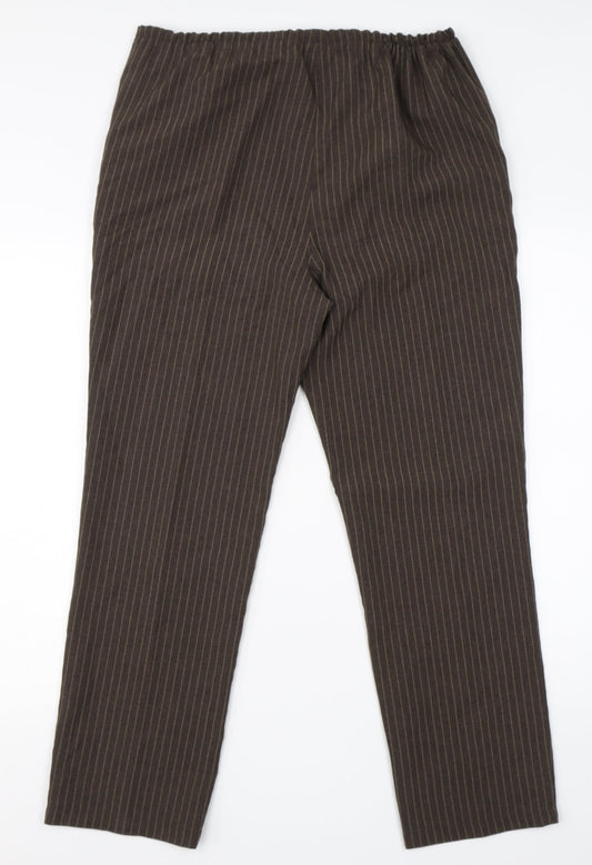 Daxon Womens Brown Striped Polyester Dress Pants Trousers Size 10 L28 in Regular