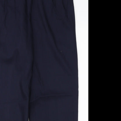 Birgitta Womens Blue  Viscose Dress Pants Trousers Size 12 L28 in Regular