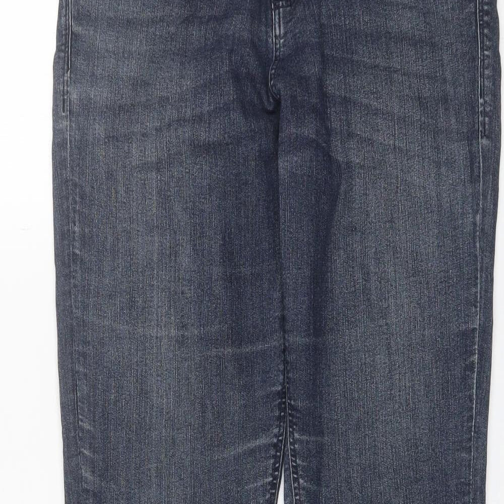 Denim CO Womens Blue  Cotton Skinny Jeans Size 12 L29 in Regular