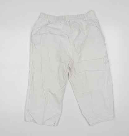 Anthology Womens White  Cotton Chino Shorts Size 30 in L19 in Regular