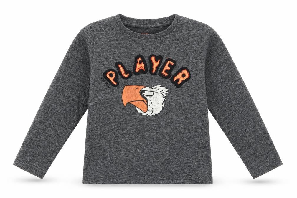 Front view of Tom Tailor boys’ grey animal print cotton basic casual, size 2-3, years roll neck pullover - player eagle head