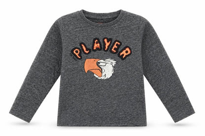 Front view of Tom Tailor boys’ grey animal print cotton basic casual, size 2-3, years roll neck pullover - player eagle head
