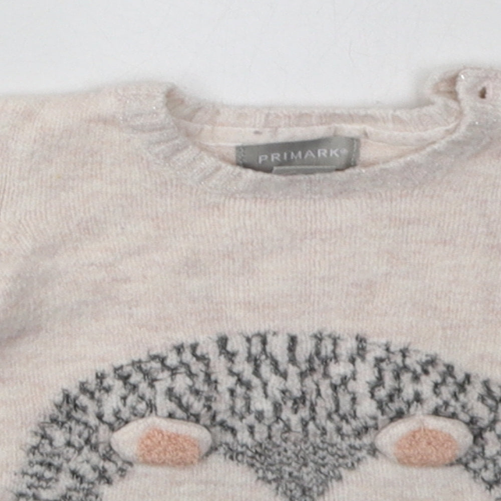 Primark Girls Pink  Acrylic Basic Casual Size 3-6 Months Crew Neck Pullover - hedge hog