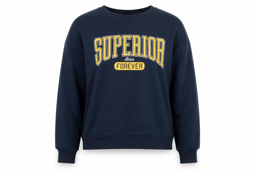 Front view of Divided women’s blue cotton pullover sweatshirt, size L
