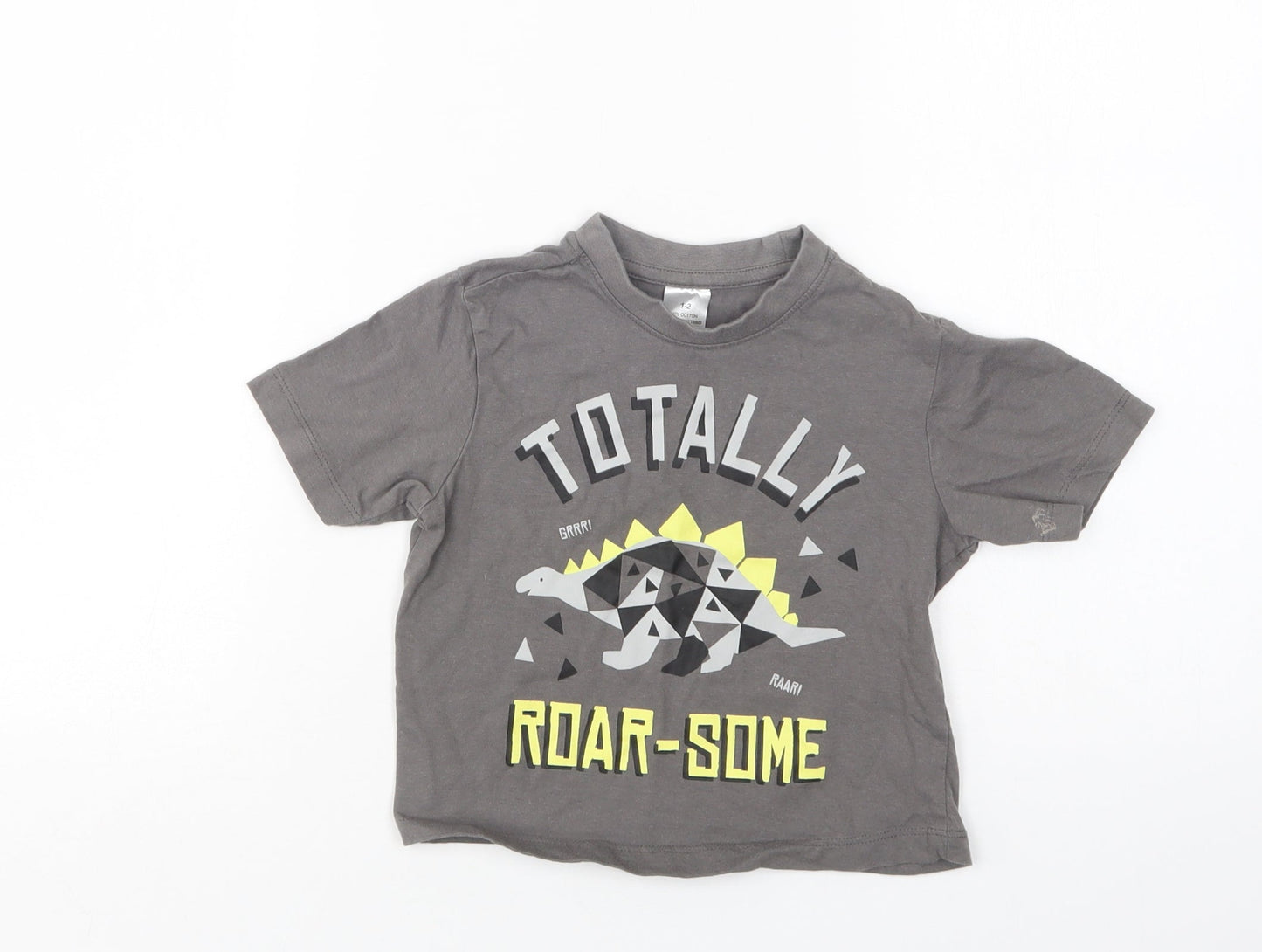 Preworn Girls Green  Cotton Basic T-Shirt Size 2 Years Crew Neck  - Dino