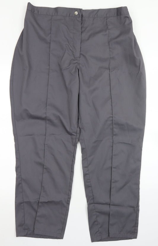 Womens UK Size 22 Alexandra Regular Fit Dress Pants Grey Trousers