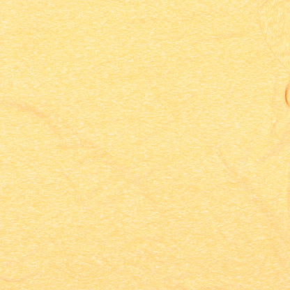 Primark Womens Yellow  Polyester Basic T-Shirt Size M Round Neck