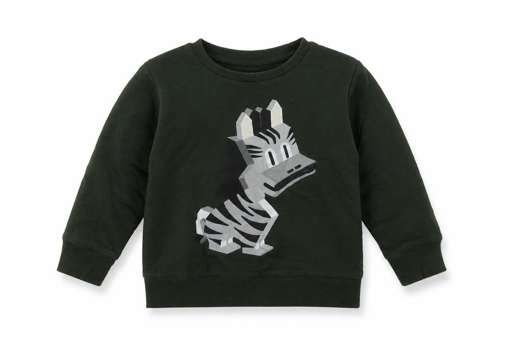 Front view of Next boys’ green cotton pullover sweatshirt, size 2, years pullover - zebra