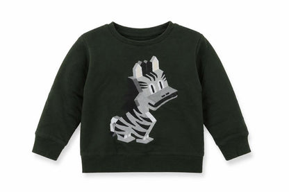 Front view of Next boys’ green cotton pullover sweatshirt, size 2, years pullover - zebra