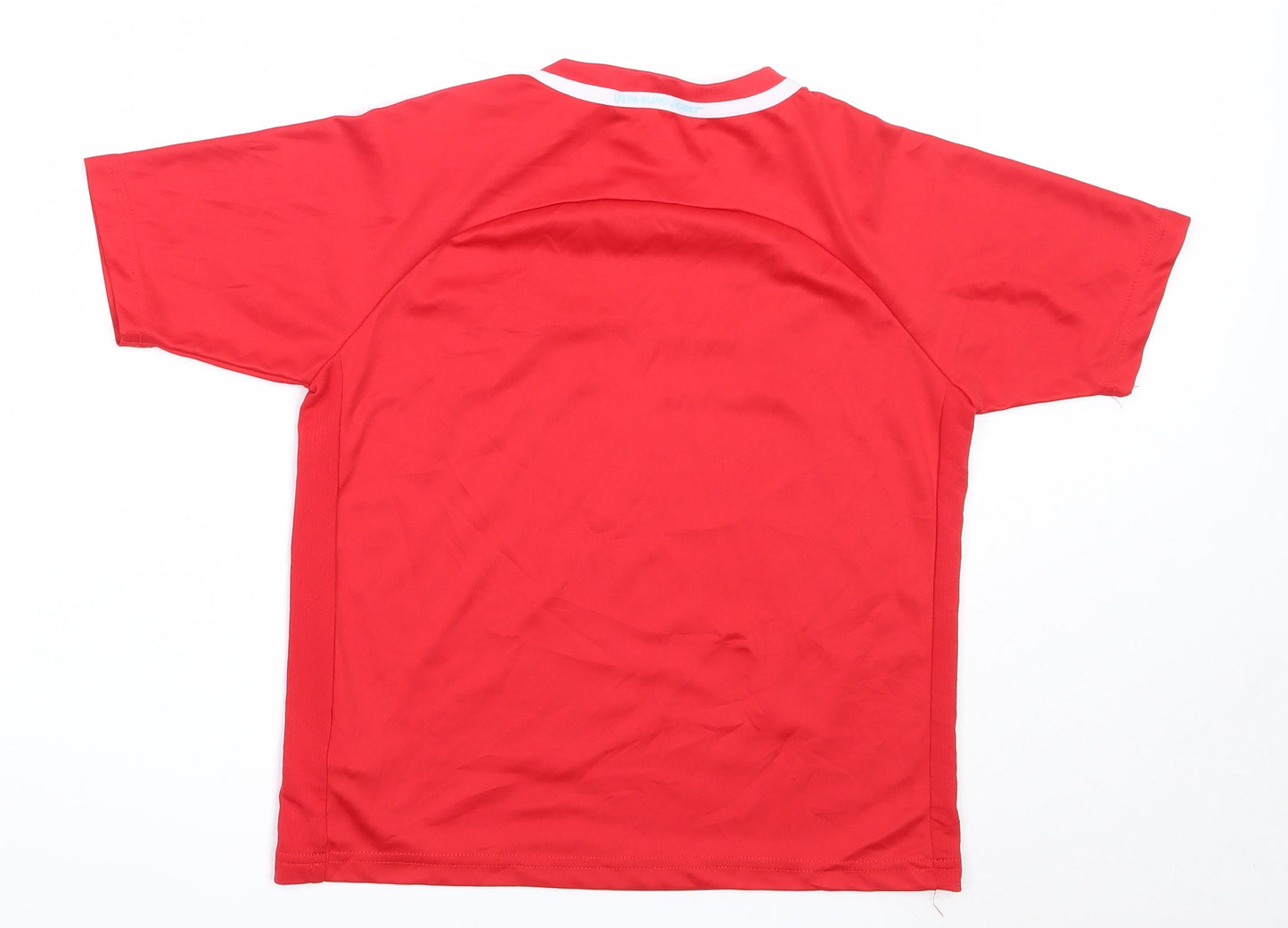 EURO2020 Boys Red  Polyester Jersey T-Shirt Size 9-10 Years Round Neck  - wales euro 2020