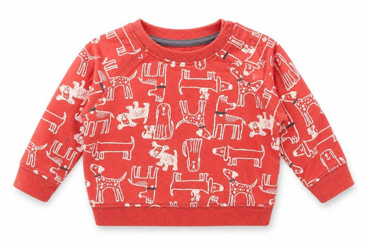 Nutmeg Boys Red Spotted Cotton Pullover Jumper Size 3-6 Months  Snap - Dog Print