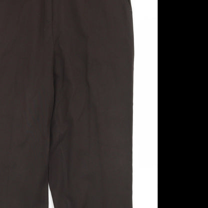 TIME Womens Brown  Polyester Dress Pants Trousers Size 18 L27 in Regular Button