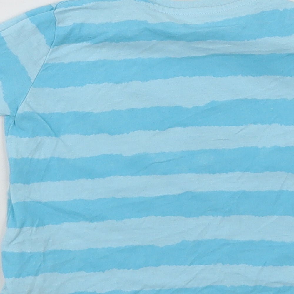 Dunnes Stores Baby Blue Striped Cotton Basic T-Shirt Size 18-24 Months Crew Neck  - Change The World