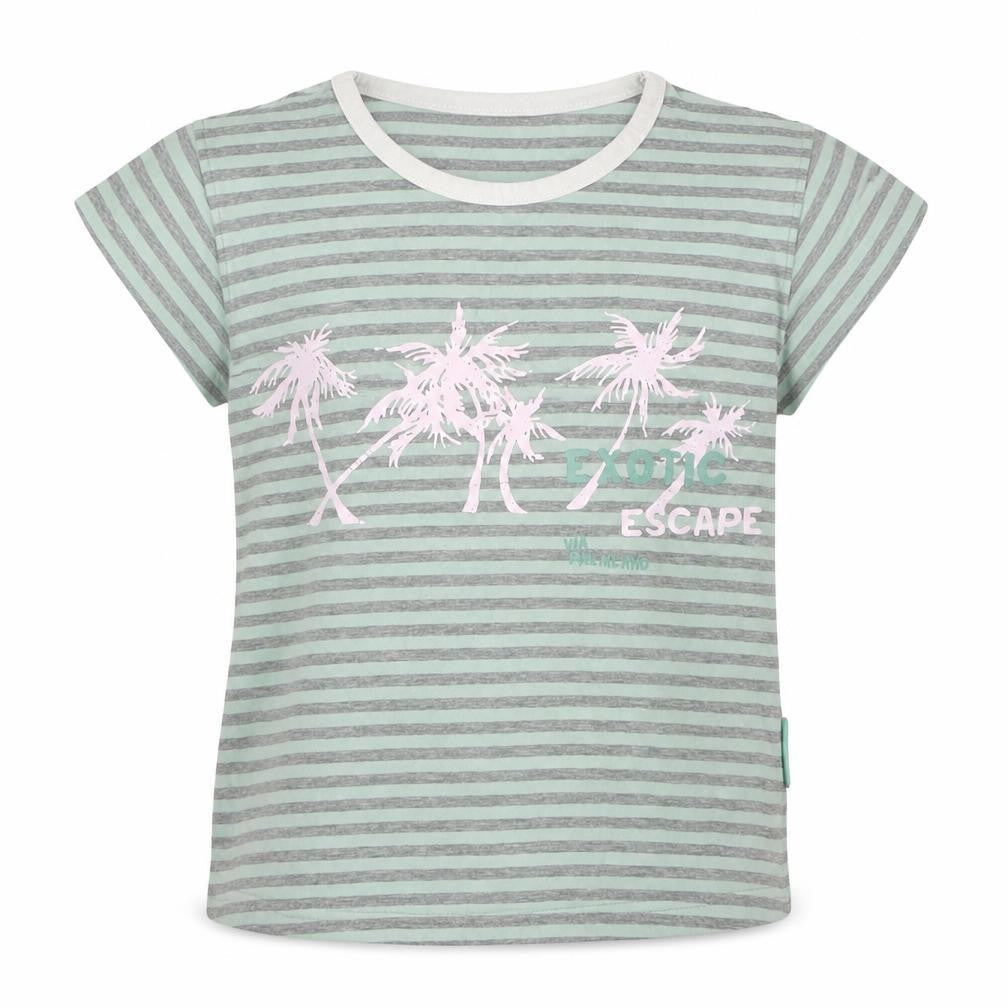 Front view of Cocco Drillo girls’ green striped cotton basic t-shirt, size 10, years crew neck pullover