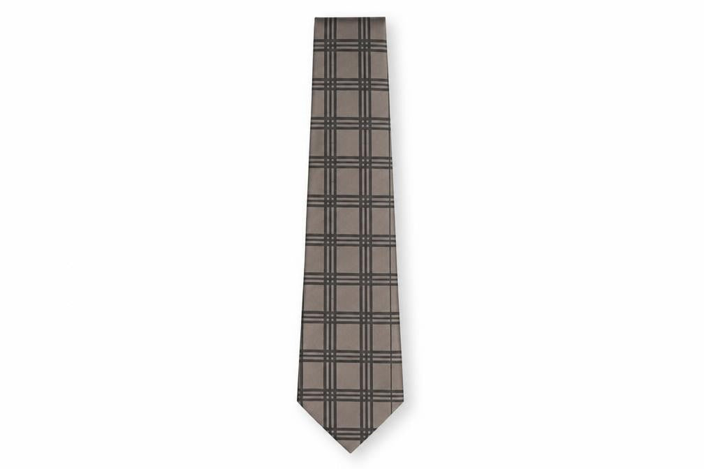 Mens NEXT Bronze Plaids & Checks  Pointed Tie