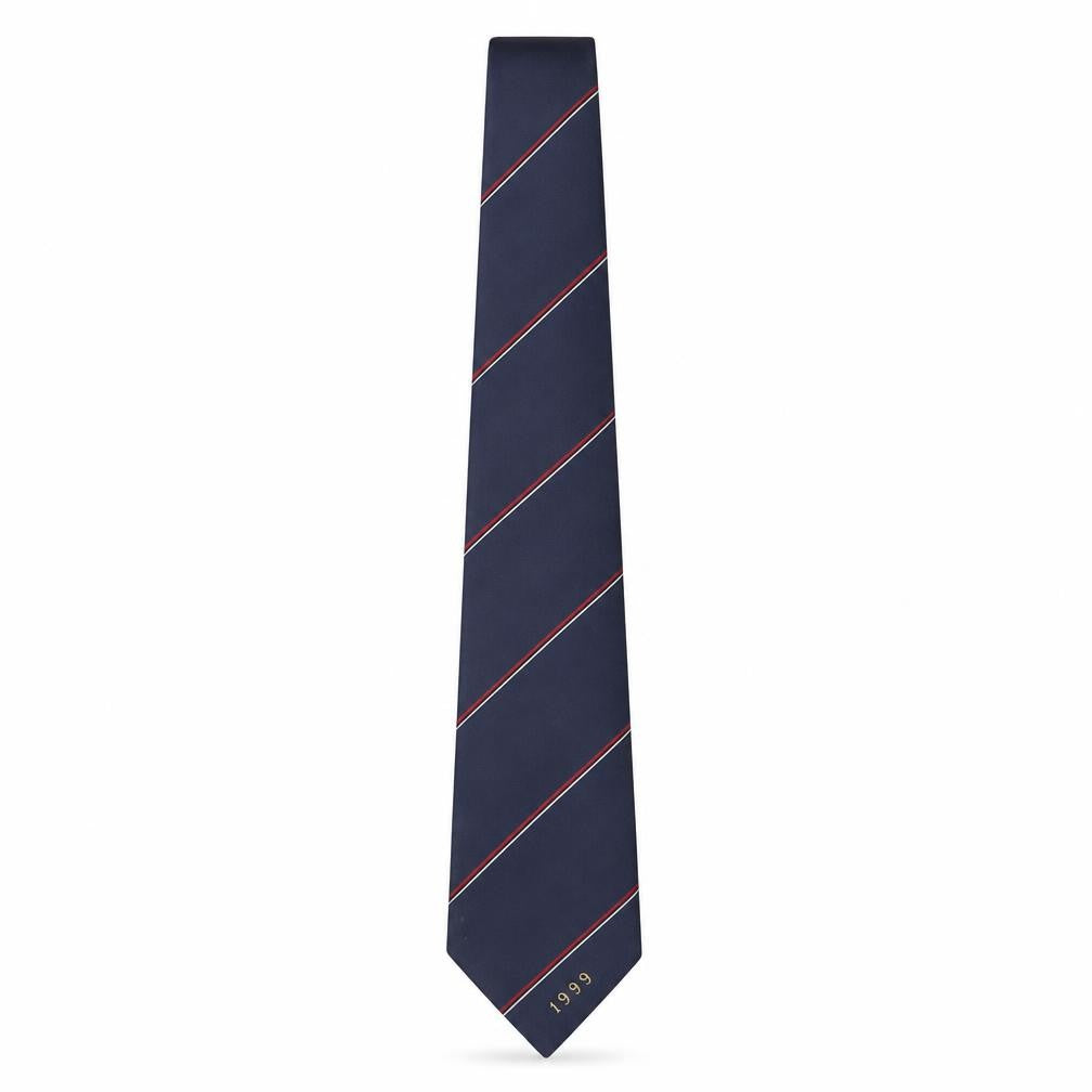 Front view of Filaspun men’s multicoloured striped polyester pointed tie one size - 1999