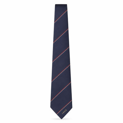 Front view of Filaspun men’s multicoloured striped polyester pointed tie one size - 1999