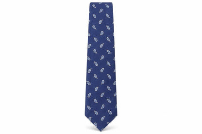 Mens ASOS Blue Paisley  Pointed Tie