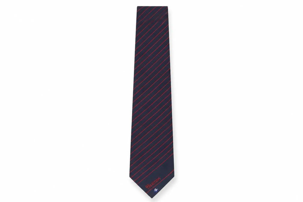 Front view of National Advanced Systems men’s multicoloured striped polyester pointed tie one size