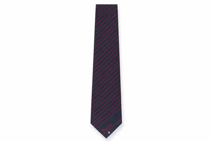 Front view of National Advanced Systems men’s multicoloured striped polyester pointed tie one size