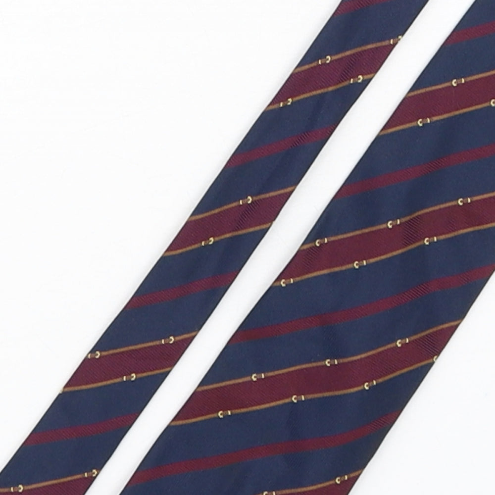 Mens Frangi Multicoloured Striped  Pointed Tie